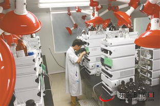 東莞 新型研發機構留才用才有妙招