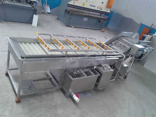 四季香蔥清洗風干線與小蔥清洗線 高效清洗技術(shù)與新型汽輪機的研發(fā)及銷售